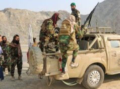 ইসলামাবাদে আফগান বাহিনীর প্রতিশোধমূলক হামলার দাবি, নিহত ১৪ পাকিস্তানি সেনা